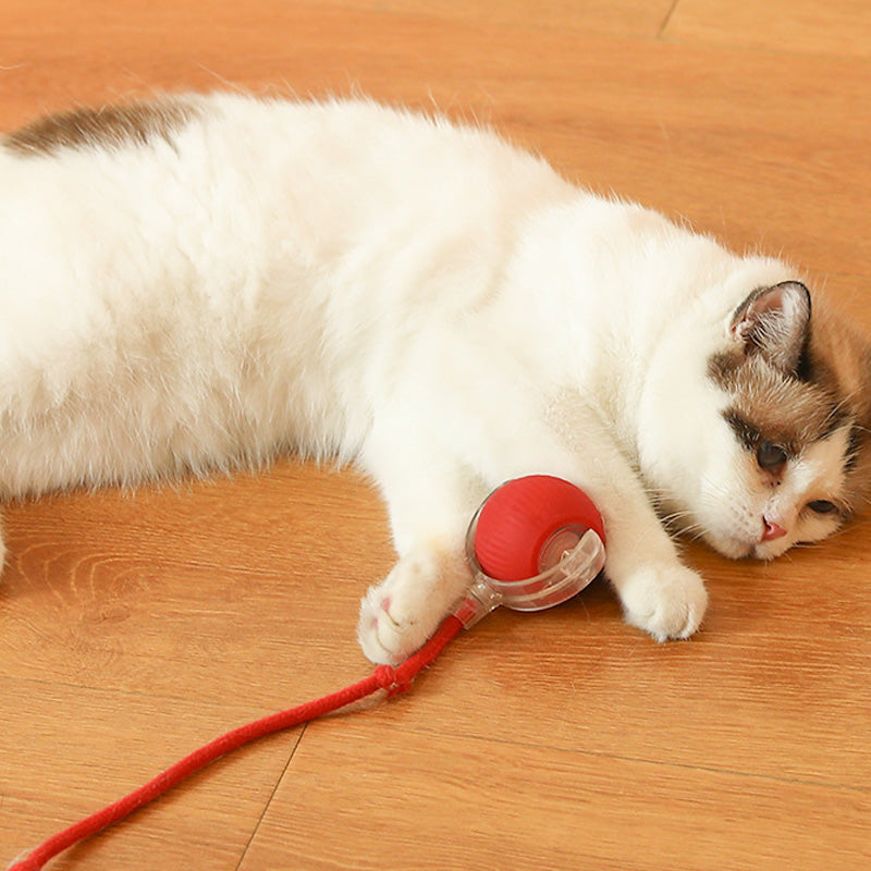 Interaktiver Indoor-Katzenball