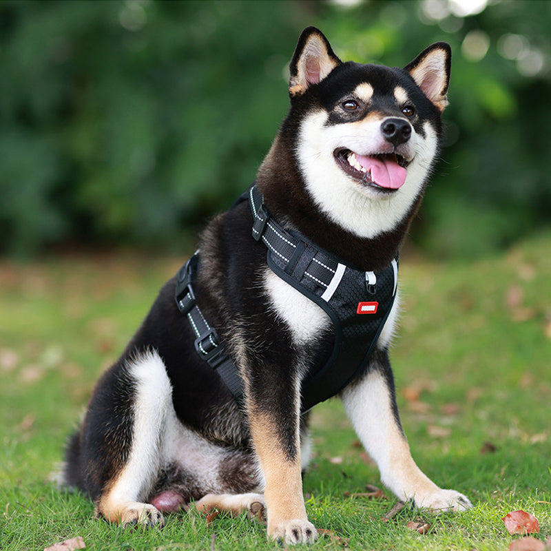 Reflektierender Hunde-Brustgurt